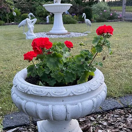 Ilsenhof Appartamento